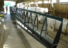 The Invictus wing as of Wednesday afternoon