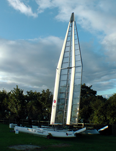 The venerable Patient Lady VI