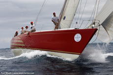  Paul Wyeth/www.pwpcitures.com