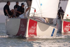 Omega Auckland Match Racing Regatta Photo ©: Chris Cameron/www.chriscameron.co.nz