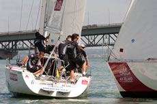 Omega Auckland Match Racing Regatta Photo ©: Chris Cameron/www.chriscameron.co.nz