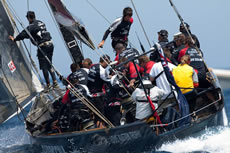 Louis Vuitton Trophy Photo Chris Cameron/Emriates Team NZ