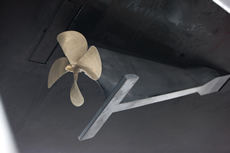 Mark Lloyd/www.lloydimages.com