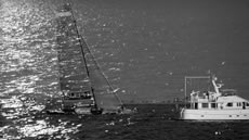 Louis Vuitton Trophy Auckland Photo © Sander van der Borch/Artemis
